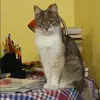 Отзыв от Нина Савельева